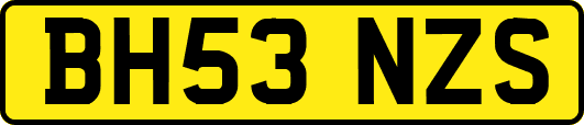 BH53NZS
