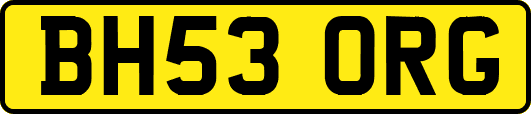 BH53ORG