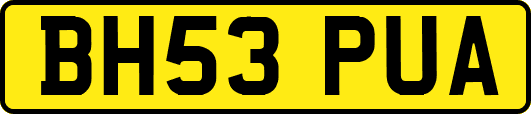BH53PUA