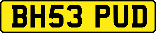 BH53PUD
