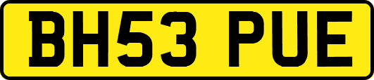 BH53PUE