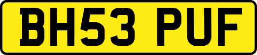 BH53PUF