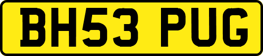 BH53PUG