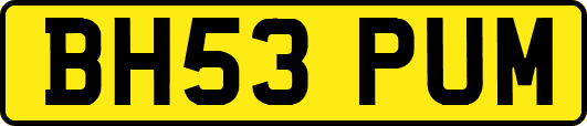 BH53PUM