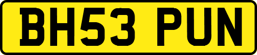 BH53PUN