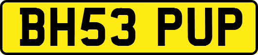 BH53PUP