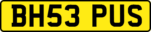 BH53PUS