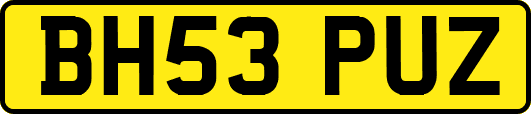 BH53PUZ
