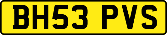 BH53PVS