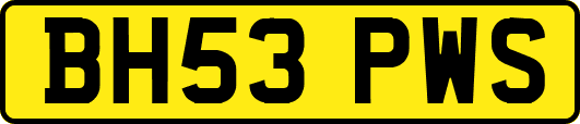 BH53PWS