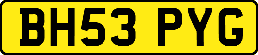 BH53PYG