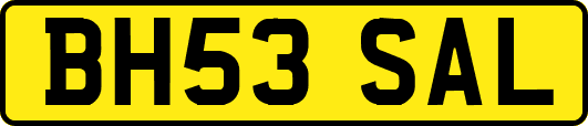 BH53SAL