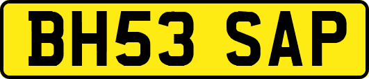 BH53SAP