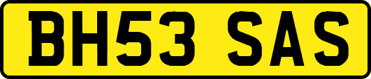 BH53SAS