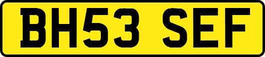 BH53SEF