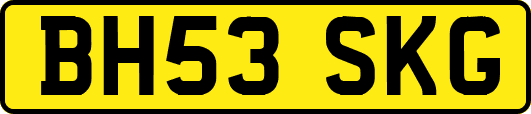 BH53SKG