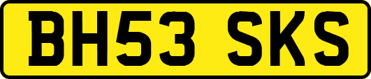 BH53SKS
