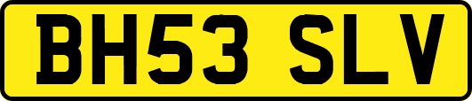 BH53SLV