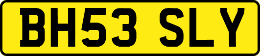 BH53SLY