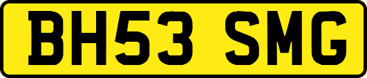 BH53SMG