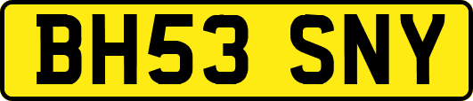 BH53SNY