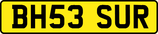 BH53SUR