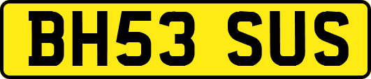 BH53SUS