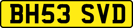 BH53SVD