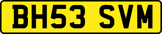 BH53SVM