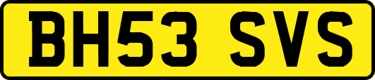 BH53SVS