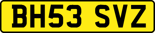 BH53SVZ