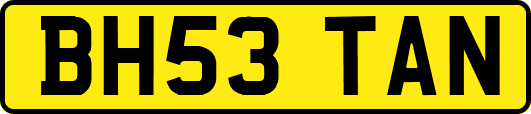 BH53TAN