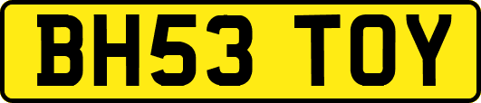 BH53TOY