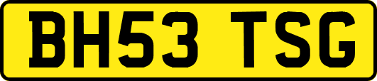 BH53TSG