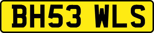 BH53WLS