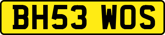 BH53WOS