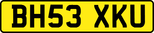 BH53XKU