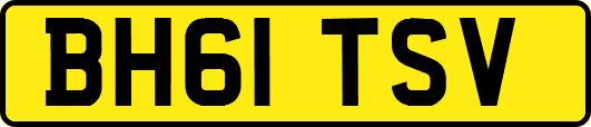 BH61TSV