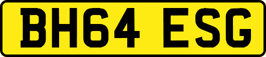 BH64ESG