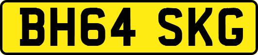 BH64SKG
