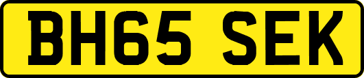 BH65SEK