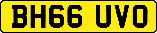 BH66UVO