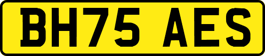 BH75AES