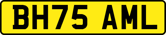 BH75AML