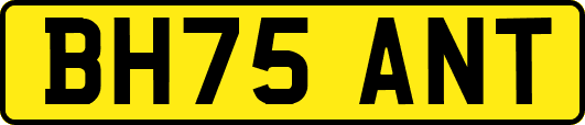 BH75ANT