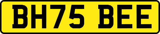 BH75BEE