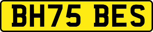 BH75BES