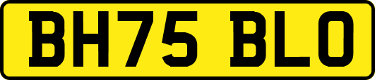 BH75BLO