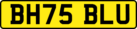 BH75BLU