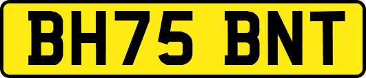 BH75BNT